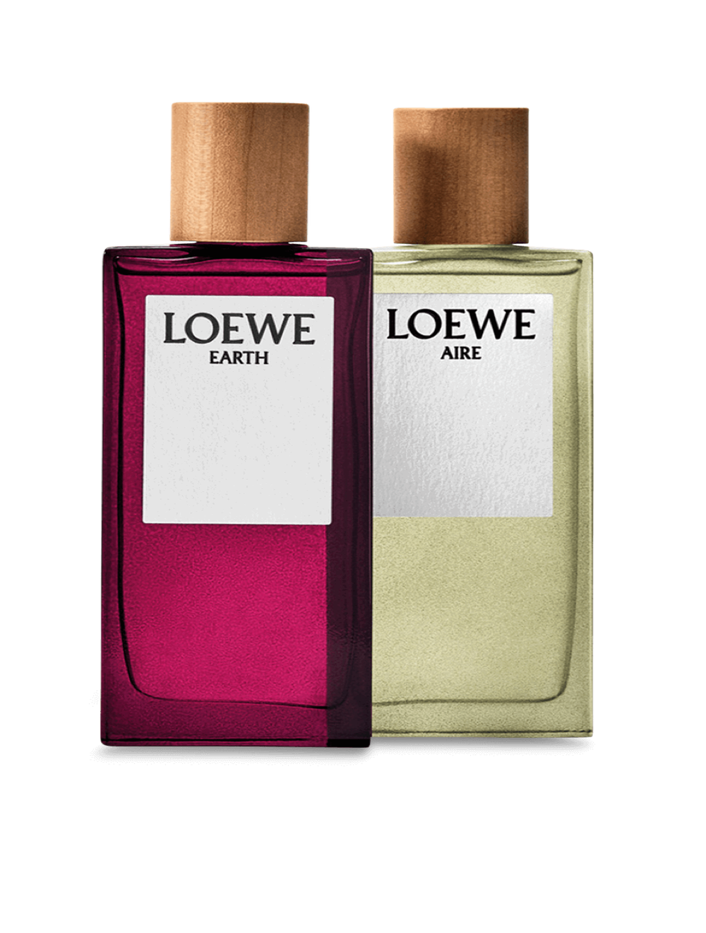 LOEWE Earth Eau de Parfum 50 ml