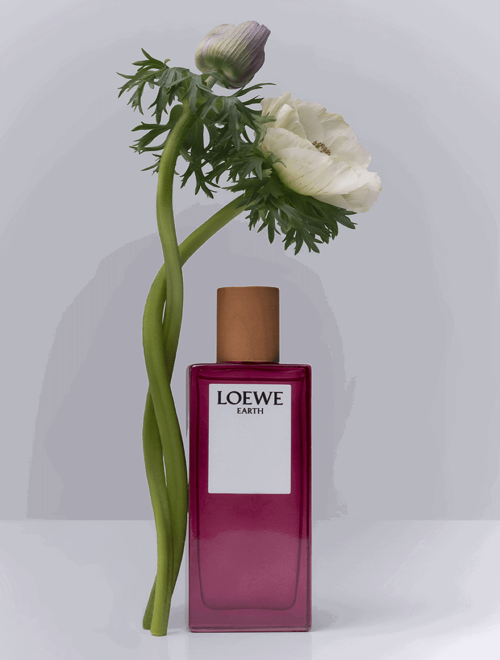 LOEWE Earth Eau de Parfum 50 ml