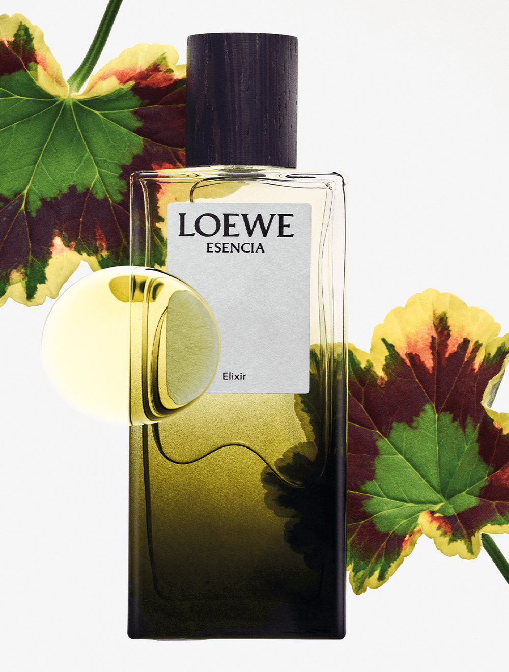 LOEWE Esencia Elixir Eau de Parfum 50 ml