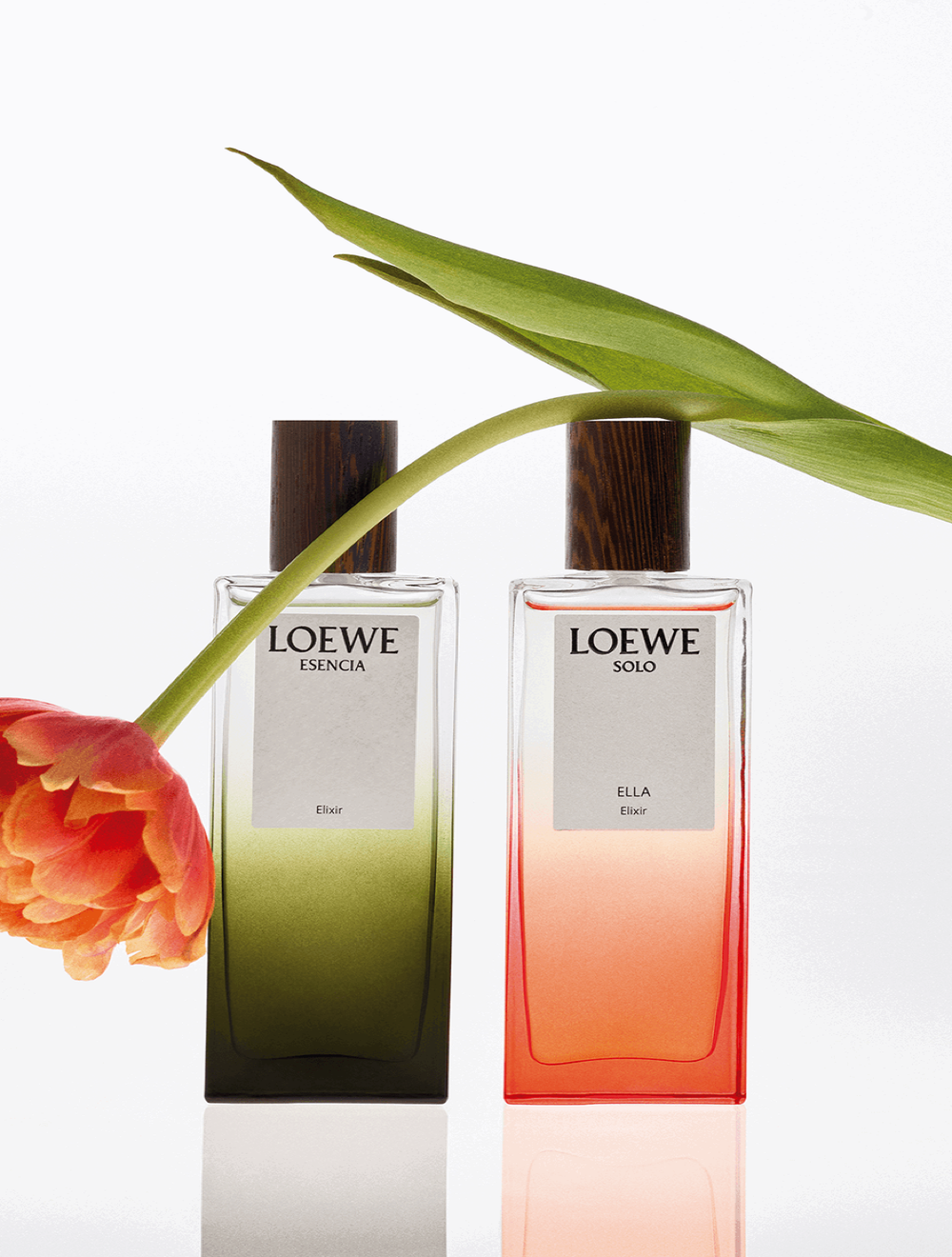 LOEWE Esencia Elixir Eau de Parfum 50 ml
