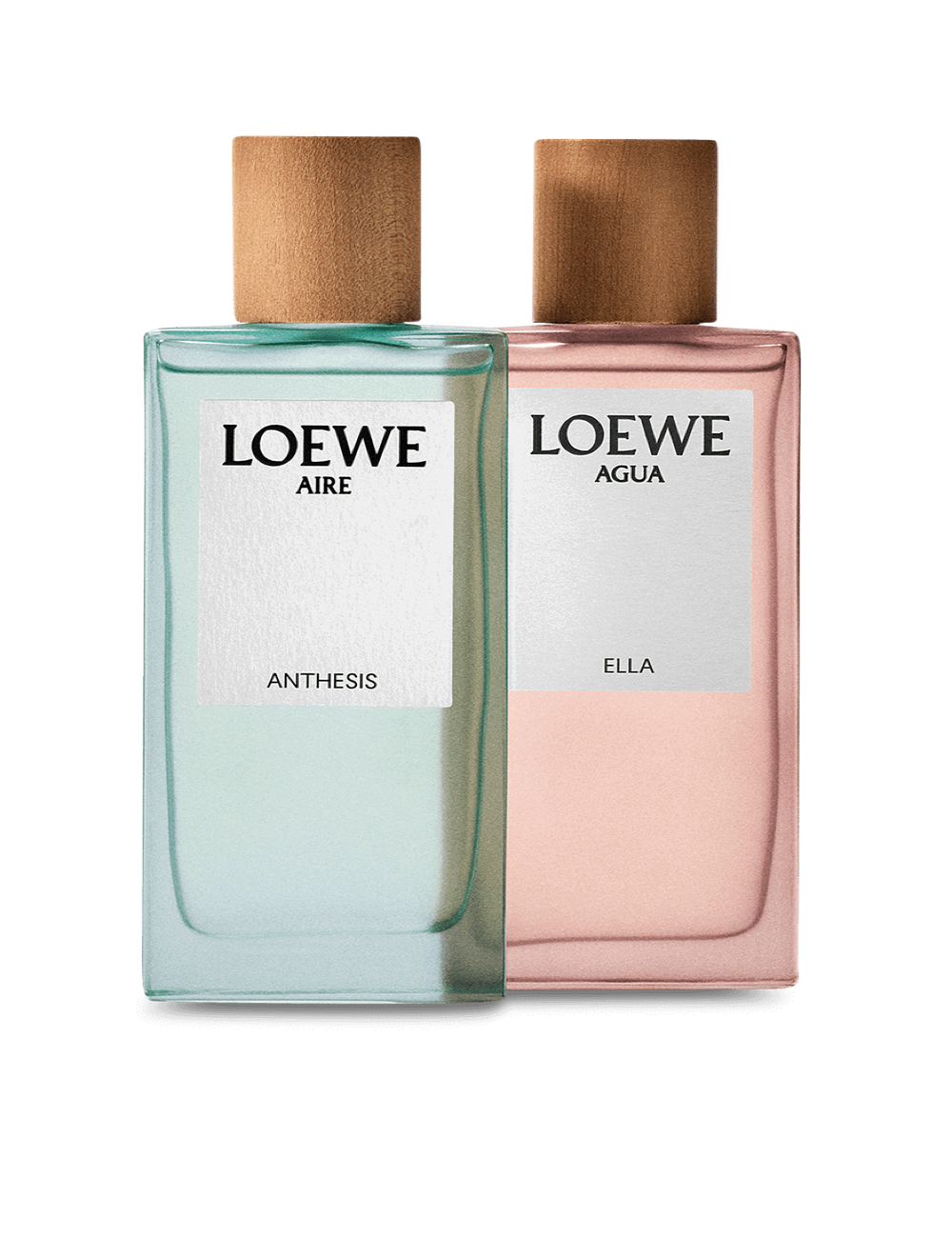 LOEWE Aire Anthesis Eau de Parfum 50 ml