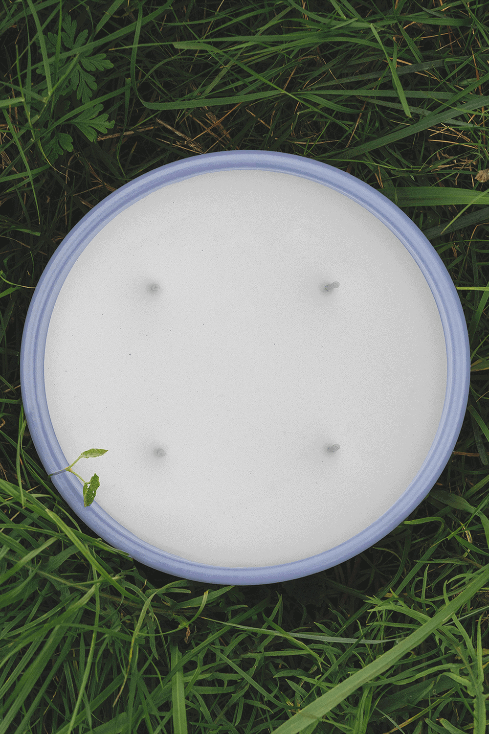 Loewe Verbena Outdoor Scented Candle