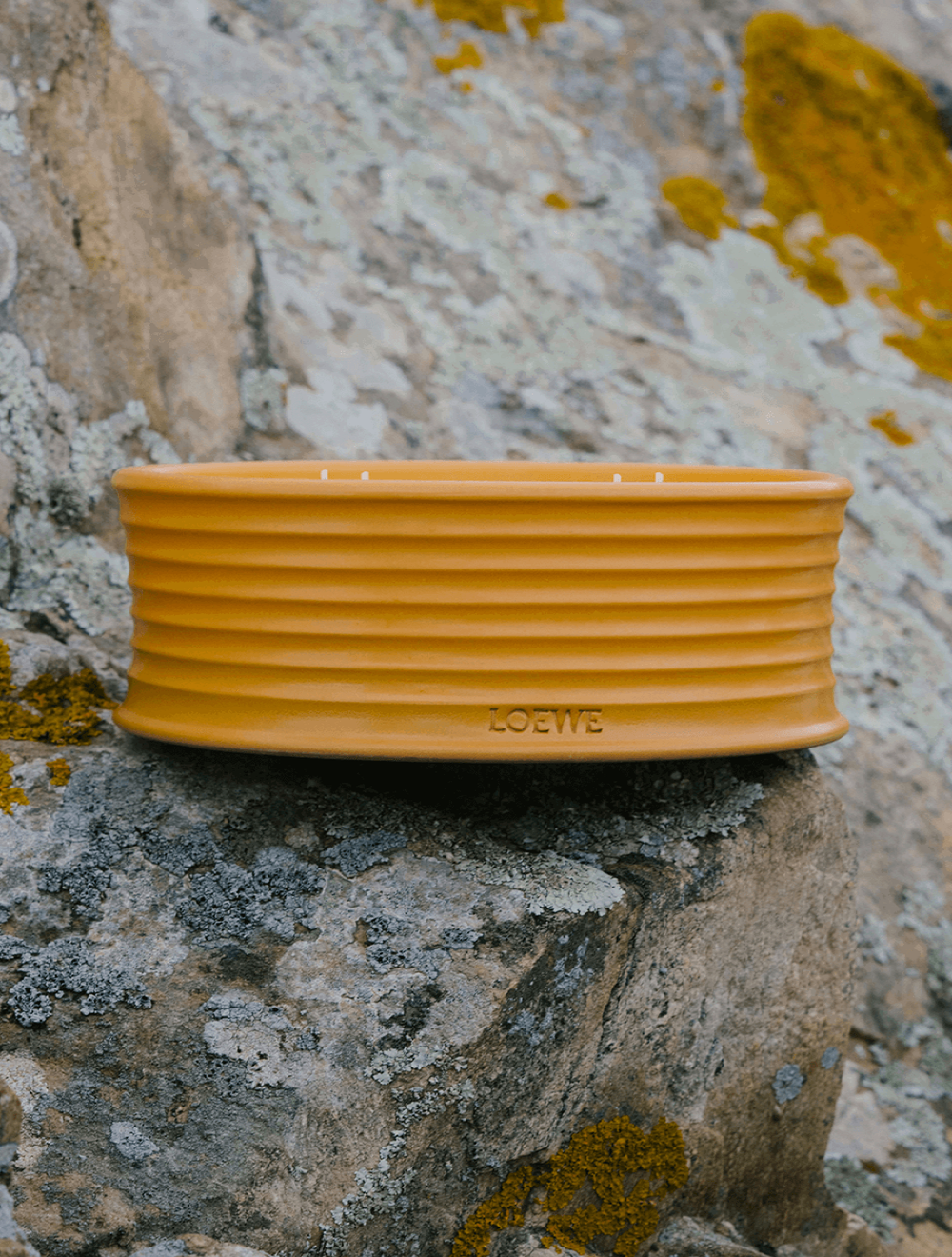 Loewe Ginger Outdoor Scented Candle