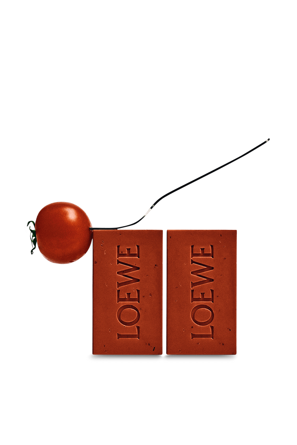 Loewe Tomato Scented Soap Pack
