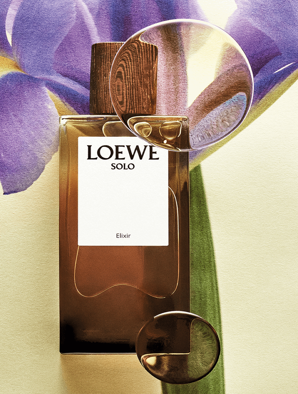LOEWE Solo Elixir Eau de Parfum 100 ml