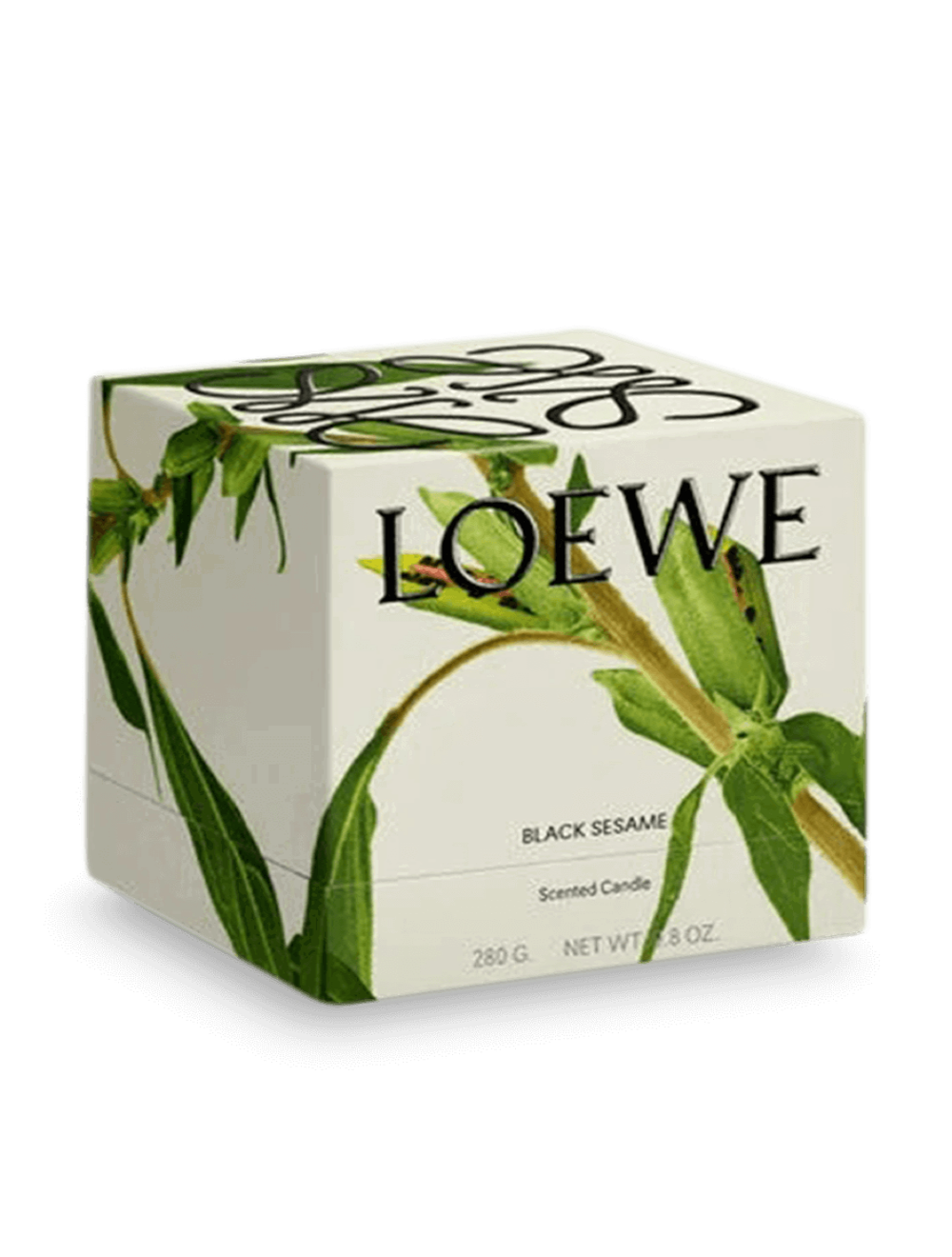 Loewe Midi Black Sesame Scented Candle