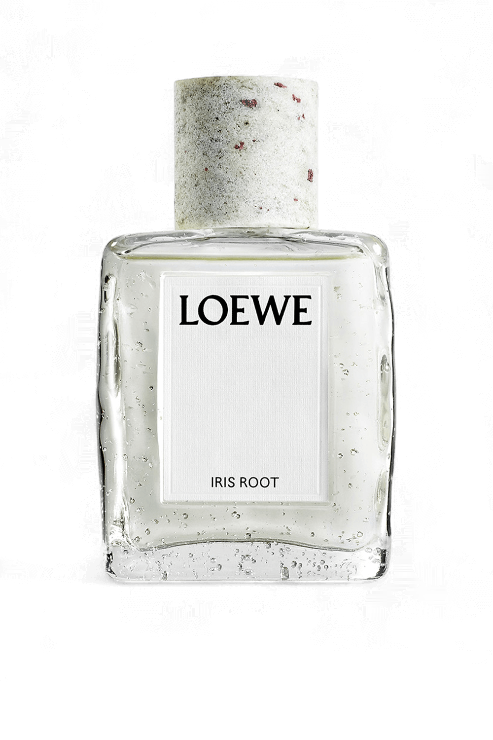 Loewe Iris Root Eau de Parfum 100 ml
