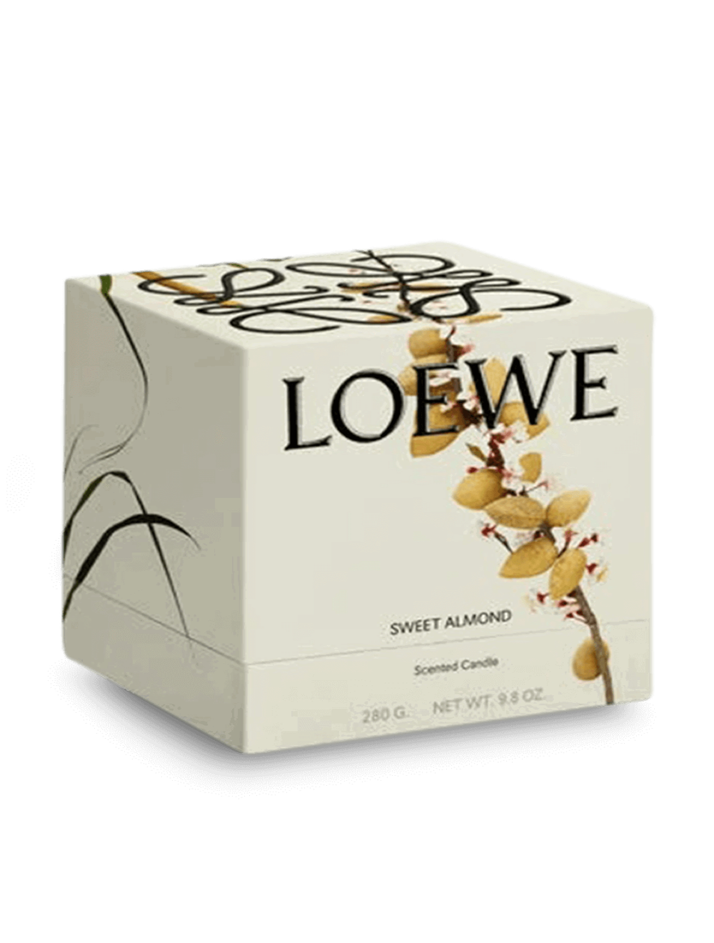 Loewe Sweet Almond Scented Candle