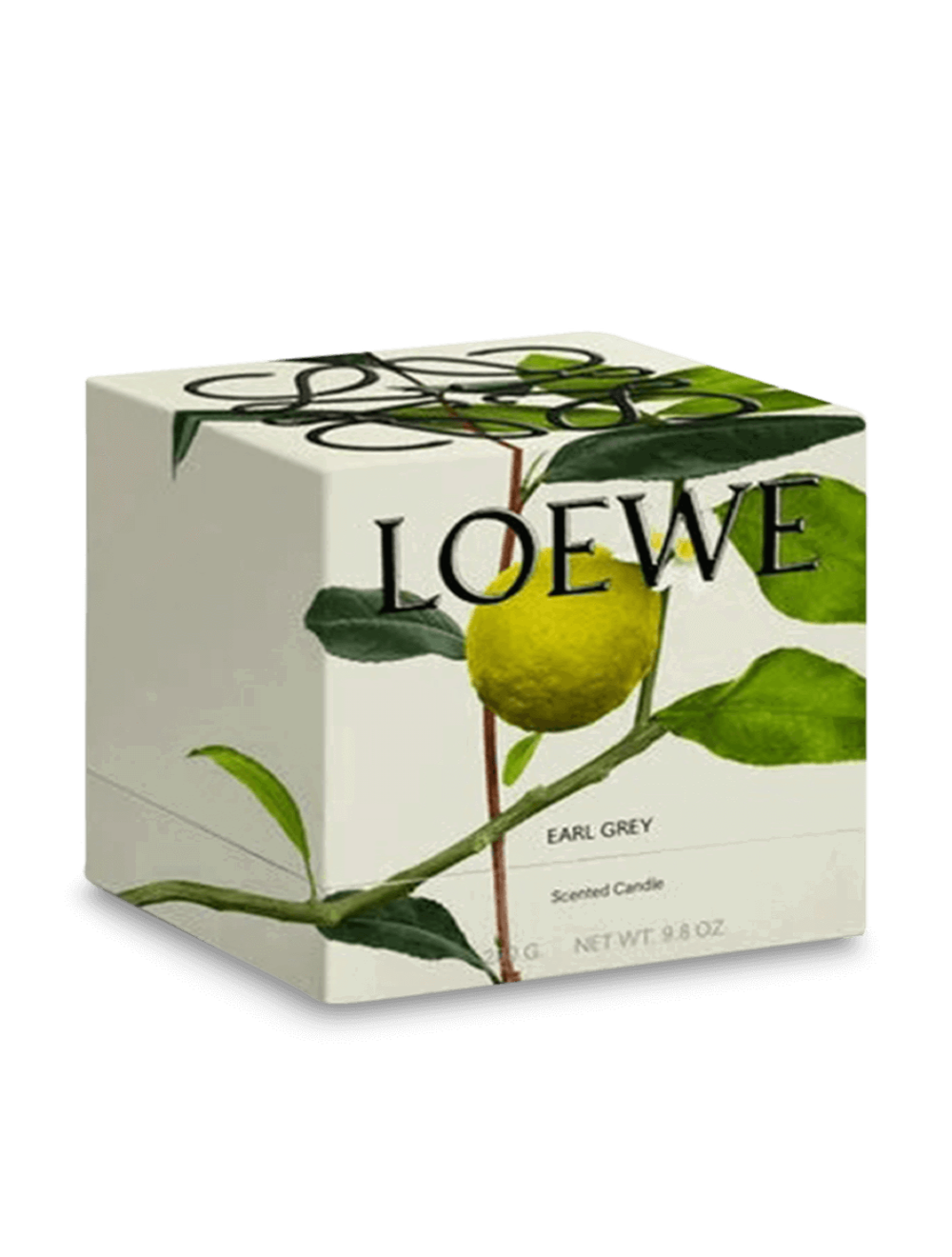 Loewe Midi Earl Grey Scented Candle
