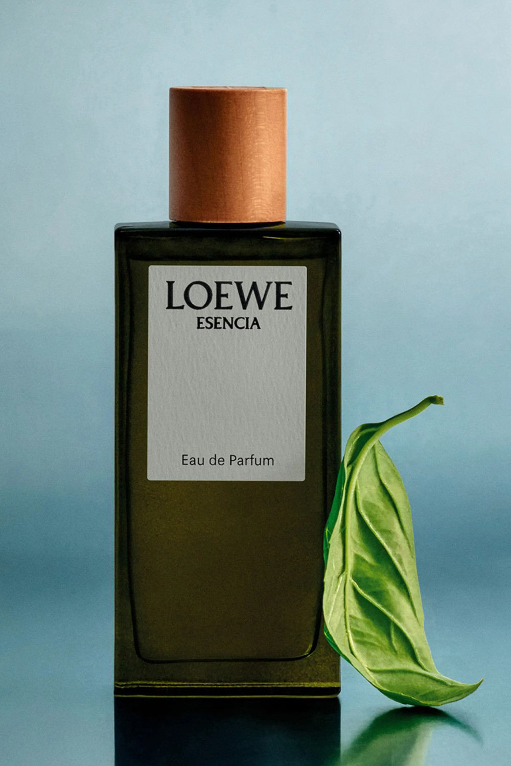 LOEWE Esencia Eau de Parfum 100 ml +10 ml