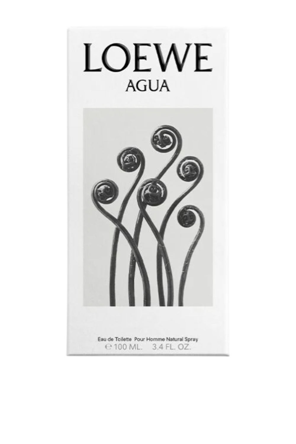 Agua Eau de Toilette 100ml
