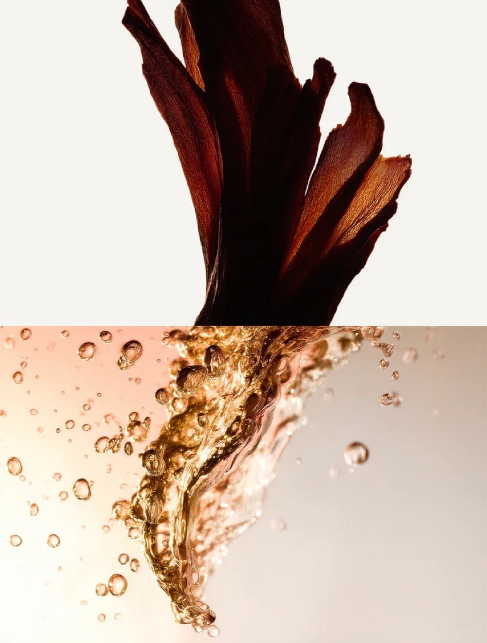 Santal Eau de Parfum – 30 ml