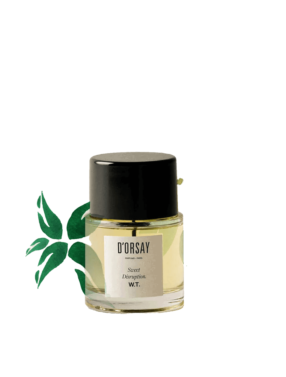 WT Eau de Parfum Spray 100 ml