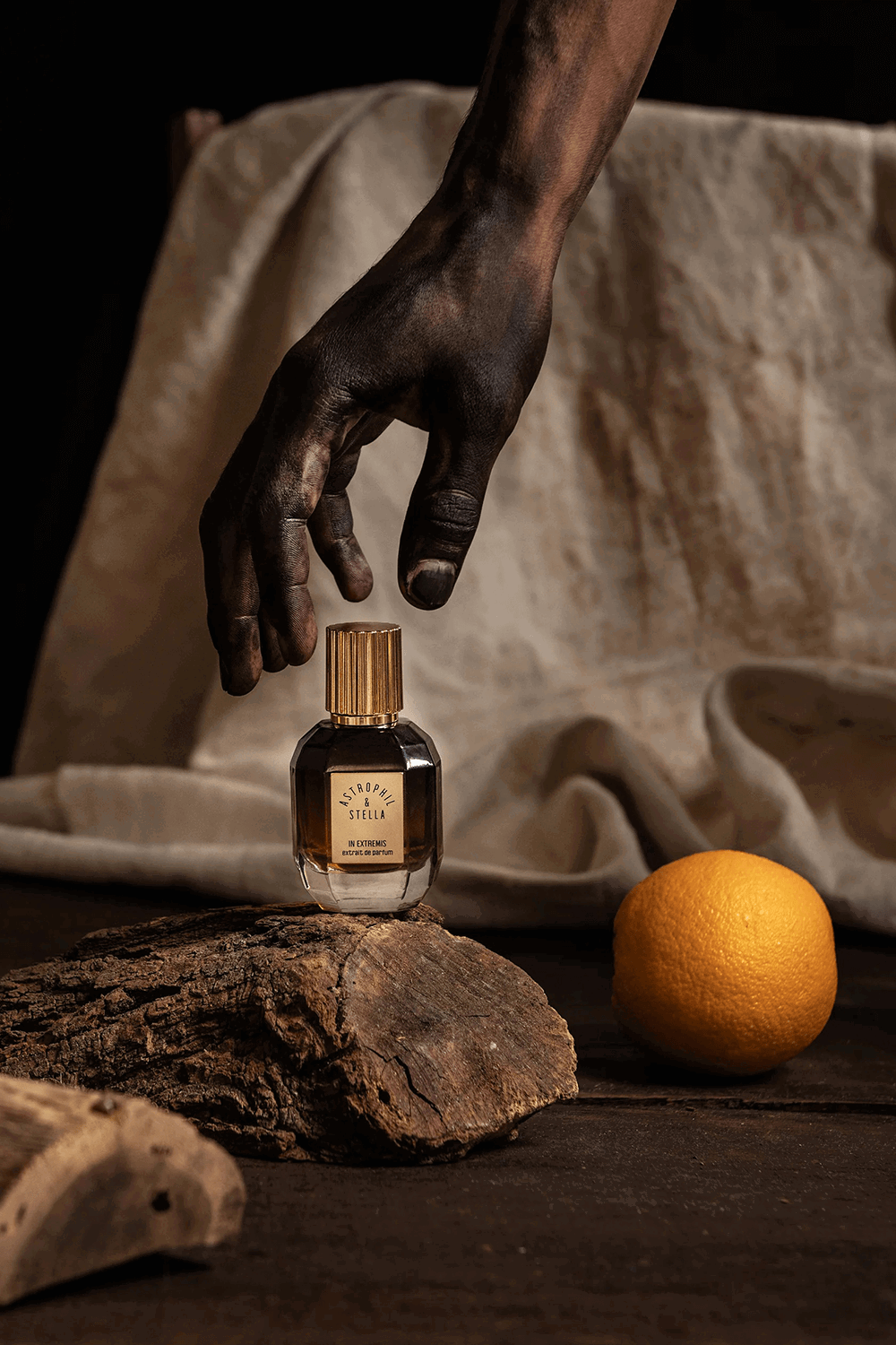 In Extremis Ex. Parfum 50 ml Astrophil X Stella