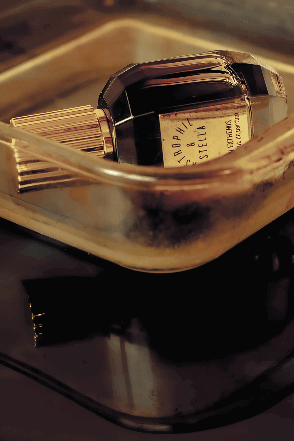 In Extremis Ex. Parfum 50 ml Astrophil X Stella