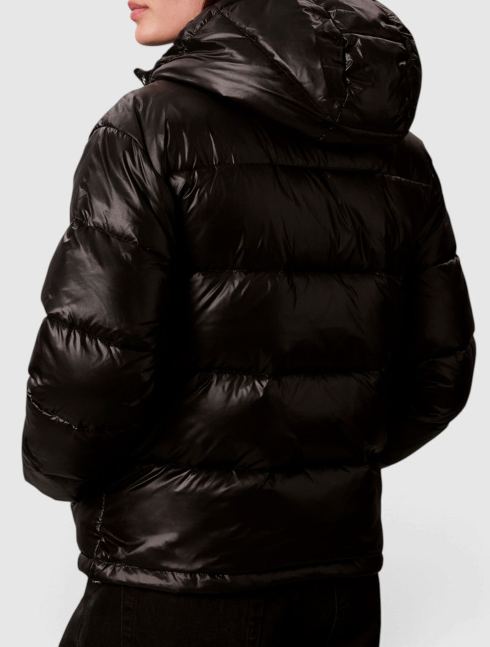 ז'קט פוך