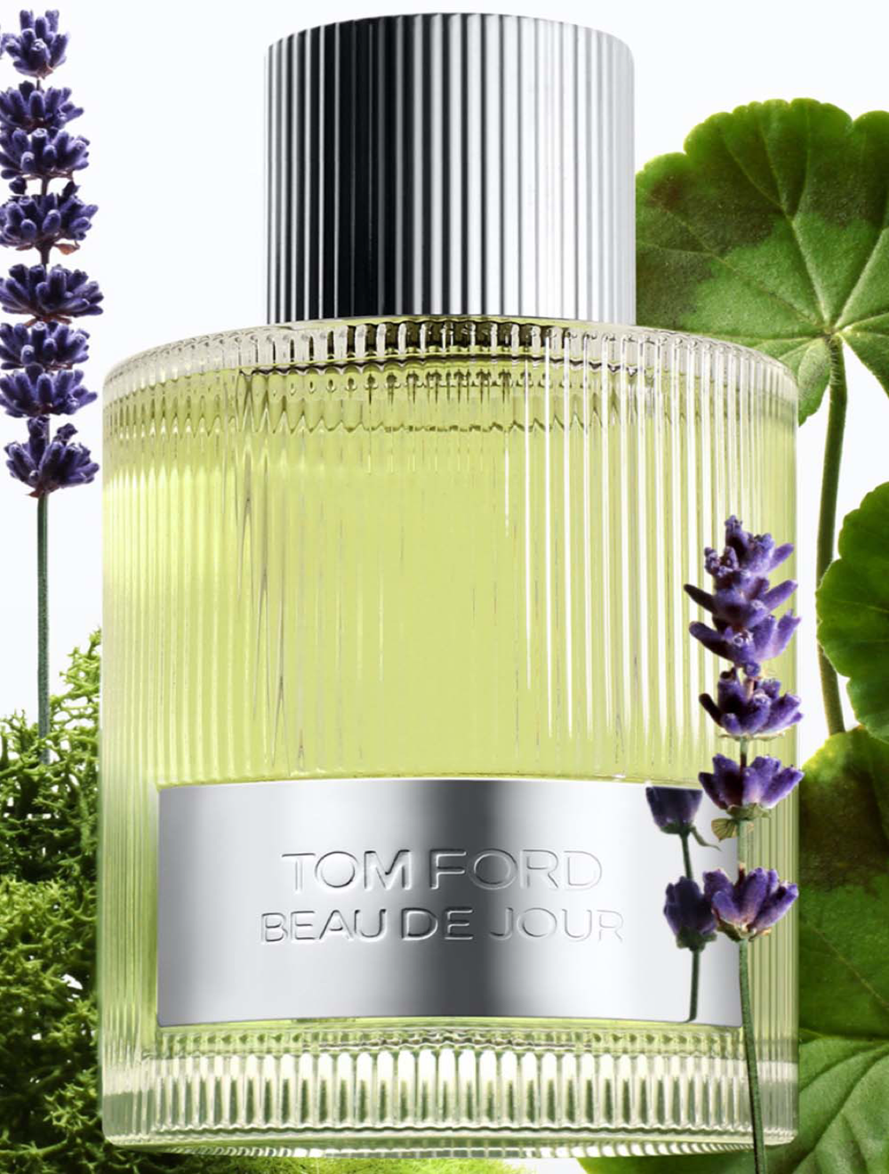 Beau de Jour Parfum 100 ML
