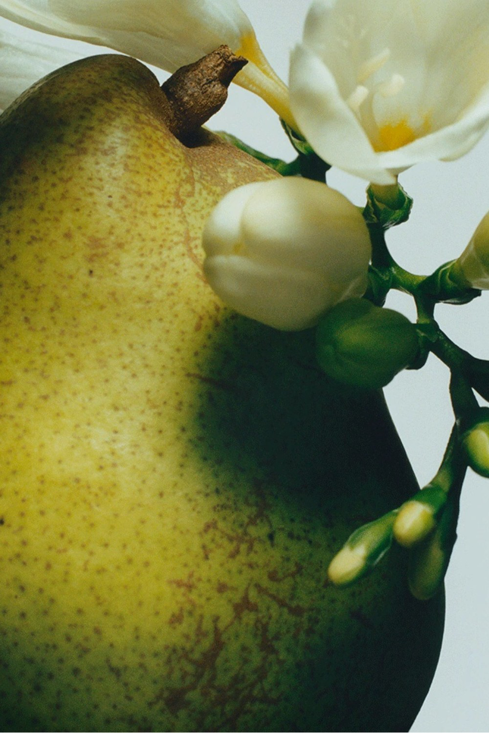Lime Basil&Mandarin Body Creme 175 ML
