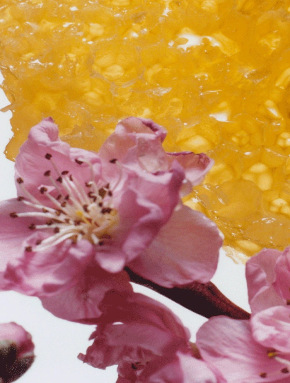 Nectarine Blossom & Honey Cologne 100 ML