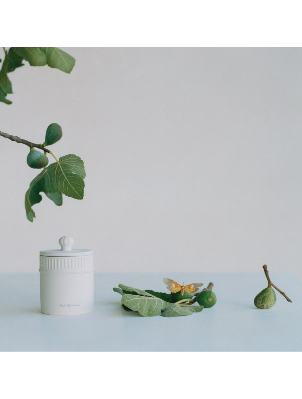 Fresh Fig & Cassis Candle 300 Gr