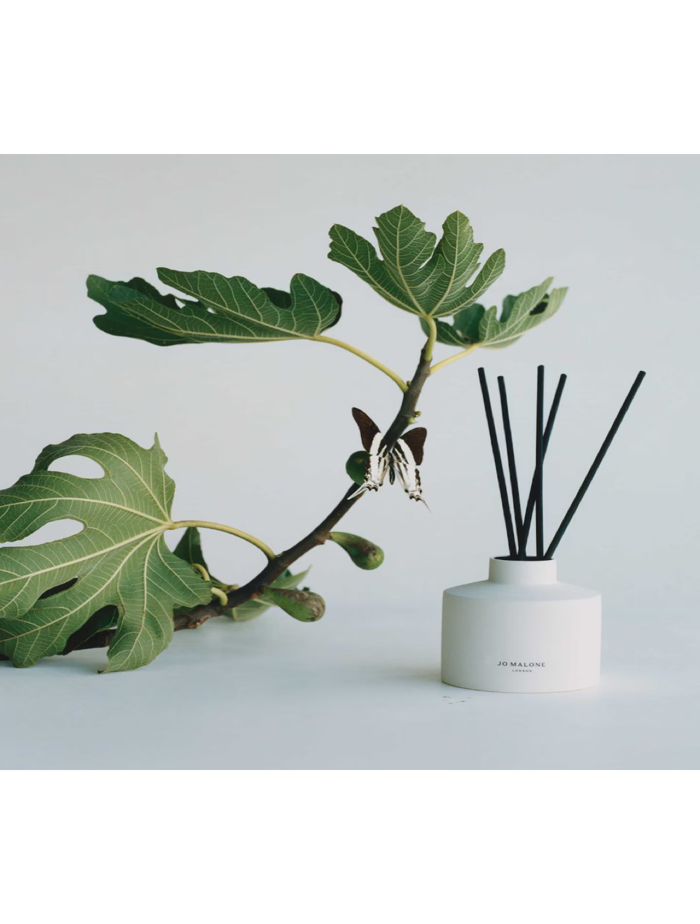 Fresh Fig & Cassis Diffuser 350 ml