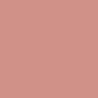 LIP COLOR 01 Spanish pink