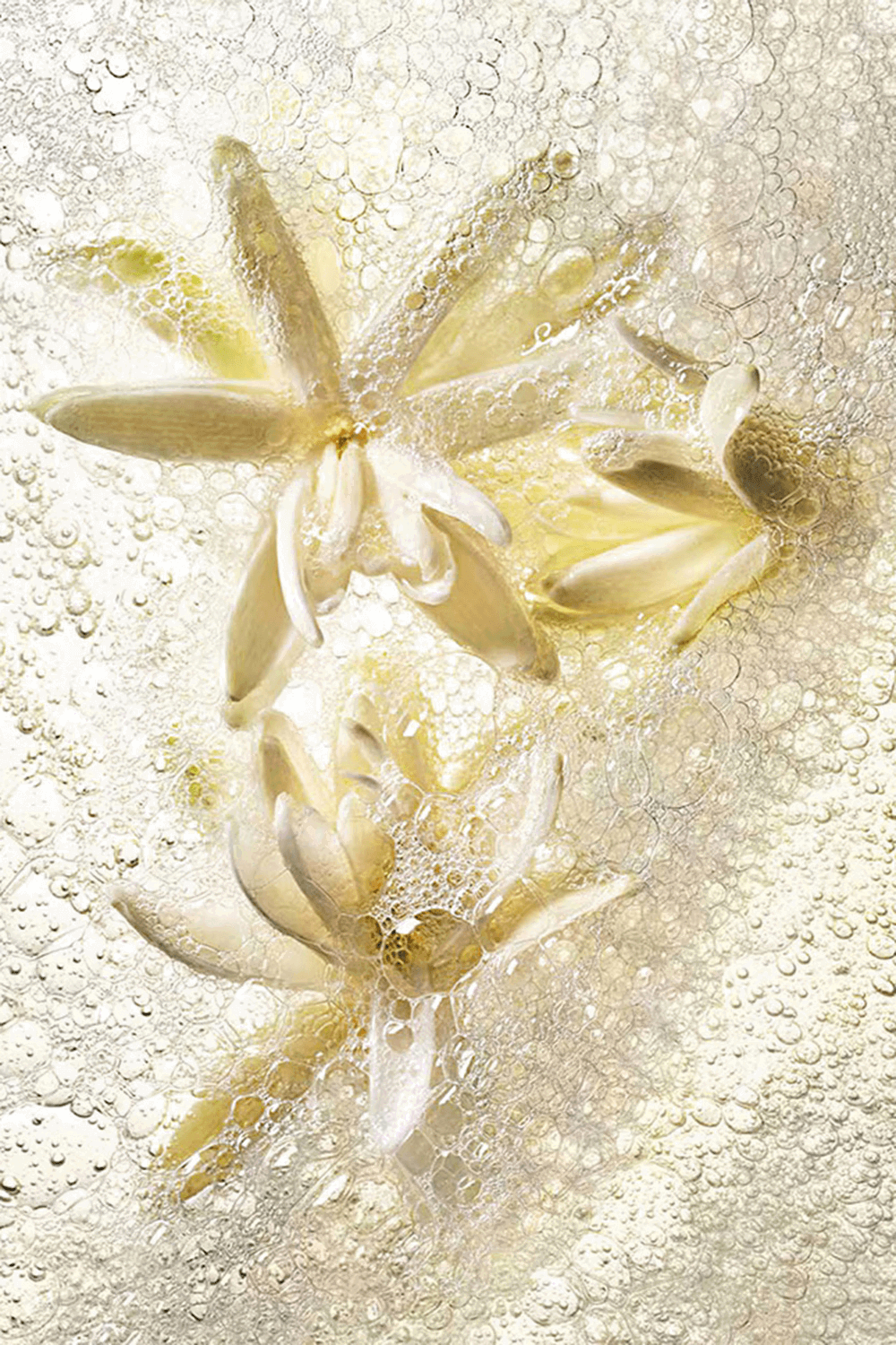 Good Girl Gone Bad Hand and Body Wash