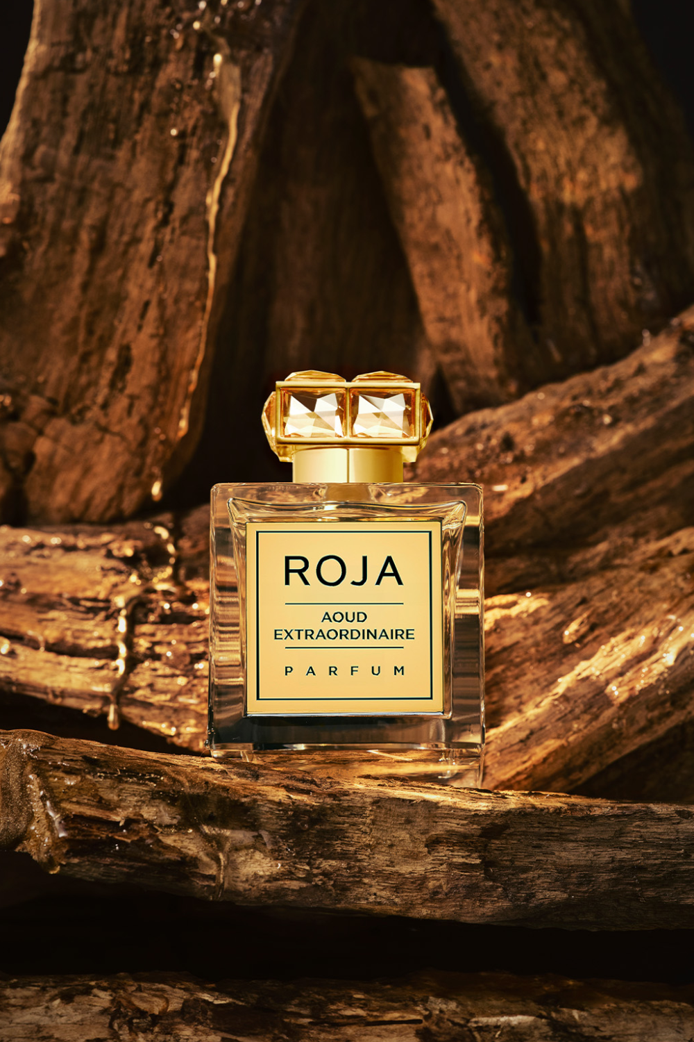 Aoud Extraordinaire Parfum 100 ml
