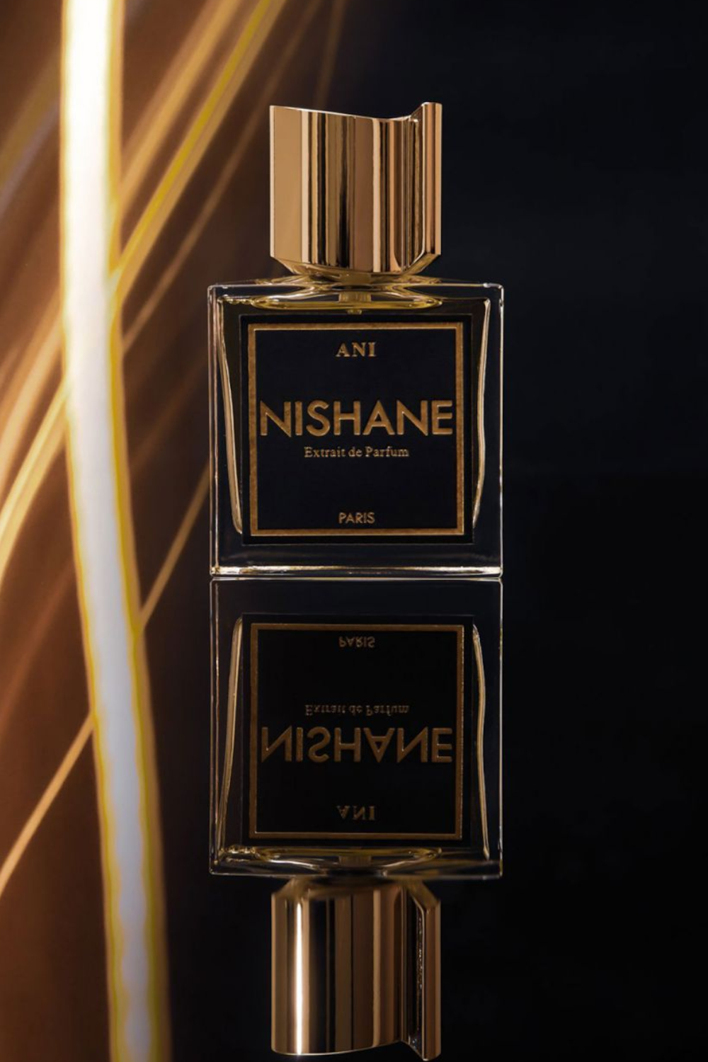 Ani Extrait de Parfum 100 ml