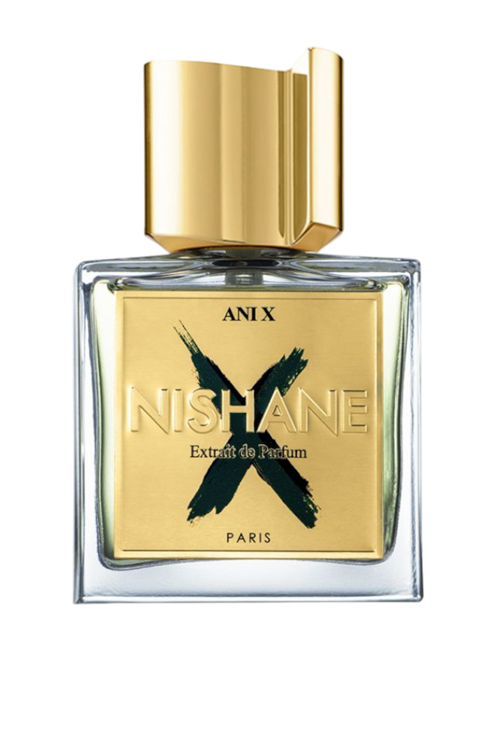 Ani X  Edp 100 ml