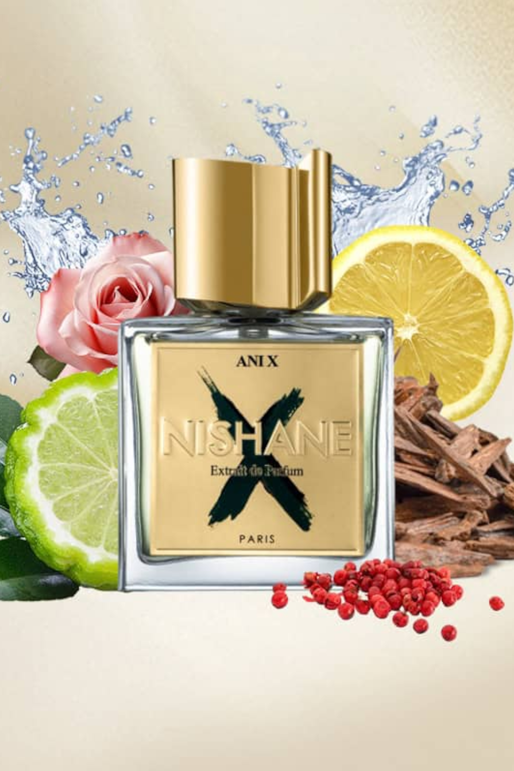 Ani X  Edp 100 ml