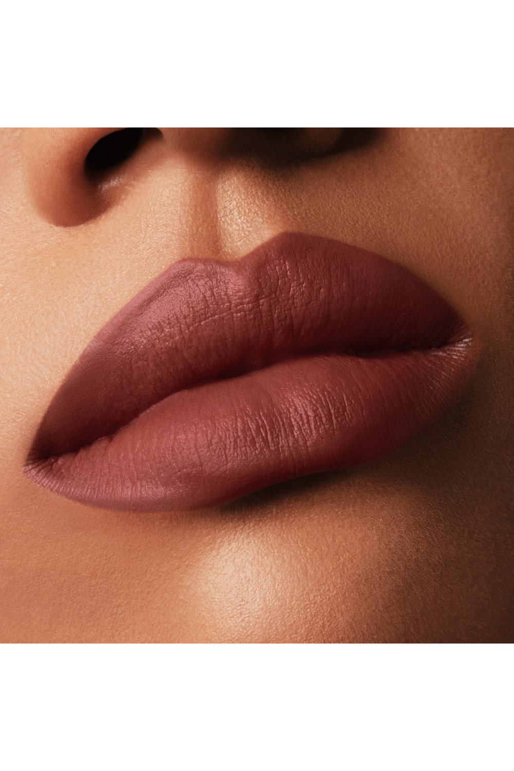 LIP STYLO MATTE 100