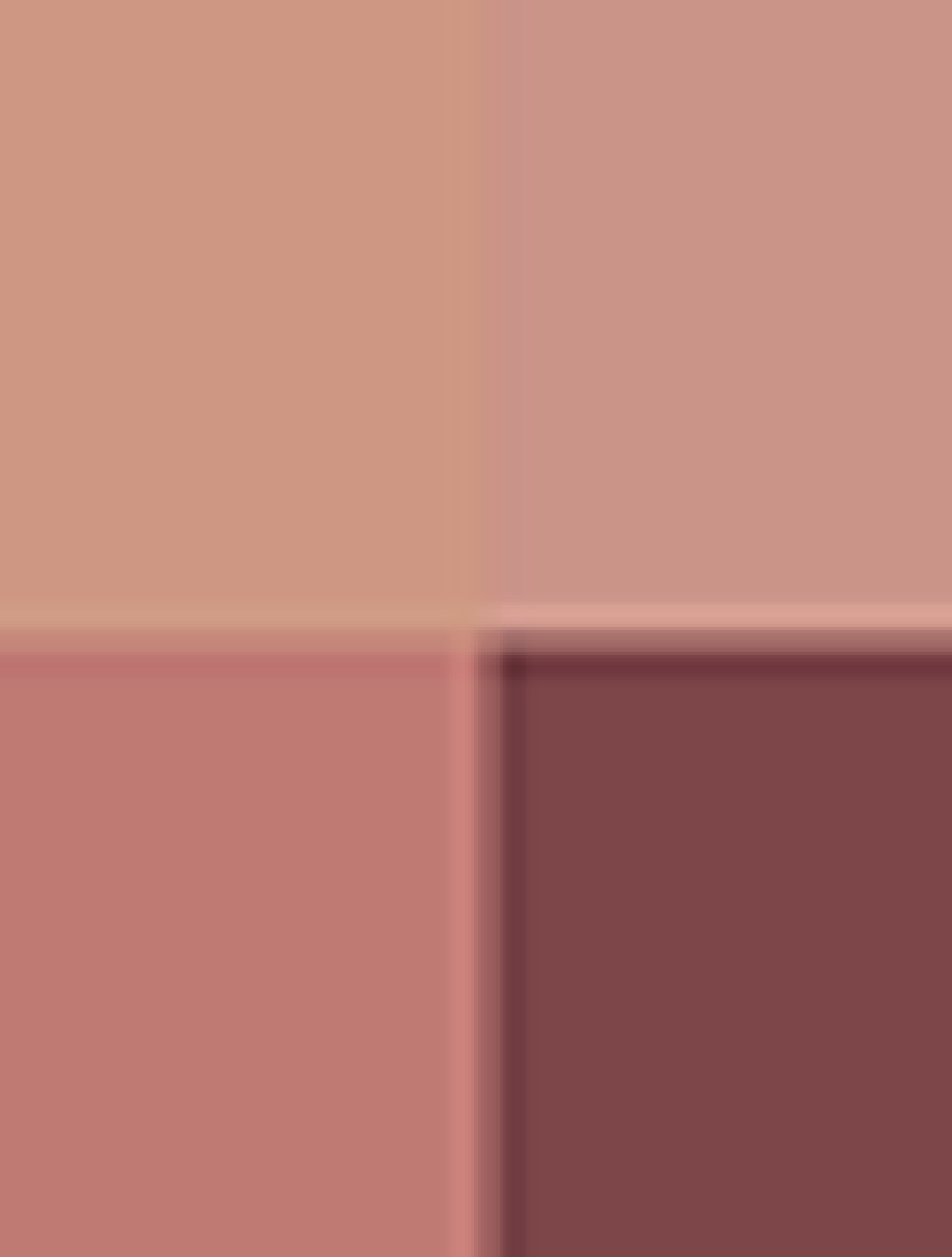 Soleil Neige Eye Colour Quad 01 Chalet Mink