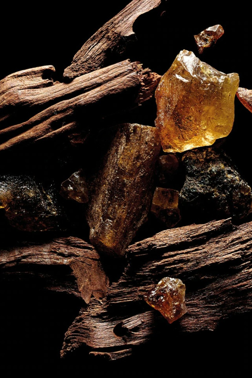 Sacred Wood 30ml