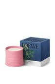 תמונה אחורית של LOEWE Ivy Medium Scented Candle