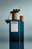LOEWE 7 Cobalt Eau de Parfum 100 ml