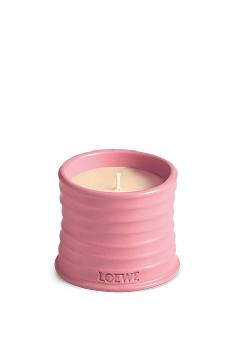 LOEWE Ivy Small Scented Candle LOEWE PERFUMES