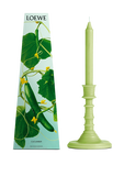 תמונה אחורית של LOEWE Cucumber Wax Candleholder