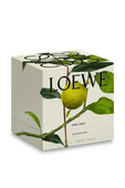 Loewe Earl Grey Scented Candle