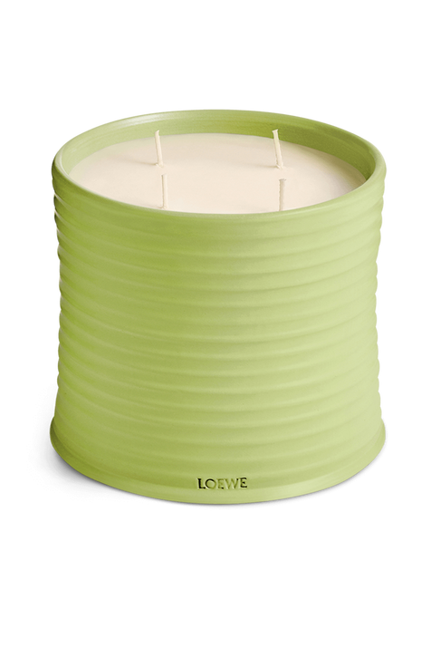 LOEWE Cucumber Large Scented Candle LOEWE PERFUMES