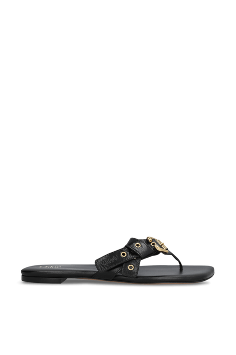 כפכפי אצבע מעור CHLOE