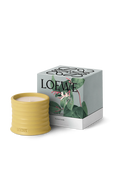 תמונה אחורית של LOEWE Honeysuckle Small Scented Candle