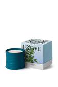 תמונה אחורית של LOEWE Incense Medium Scented Candle