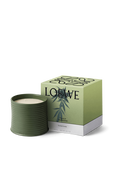 תמונה אחורית של LOEWE Marihuana Medium Scented Candle