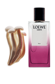 תמונת תקריב של LOEWE Earth Elixir 100 ml