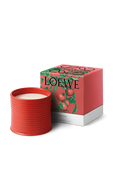 תמונה אחורית של LOEWE Tomato Leaves Large Scented Candle