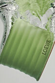 LOEWE Cucumber Medium Scented Candle