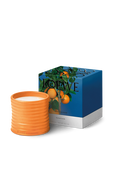 תמונה אחורית של LOEWE Orange Blossom Medium Scented Candle