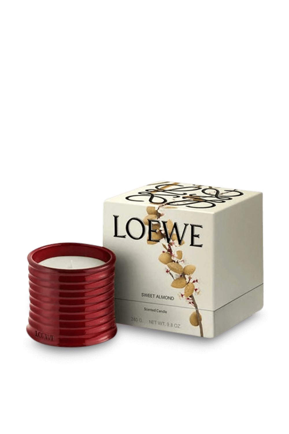 תמונה אחורית של Loewe Sweet Almond Scented Candle