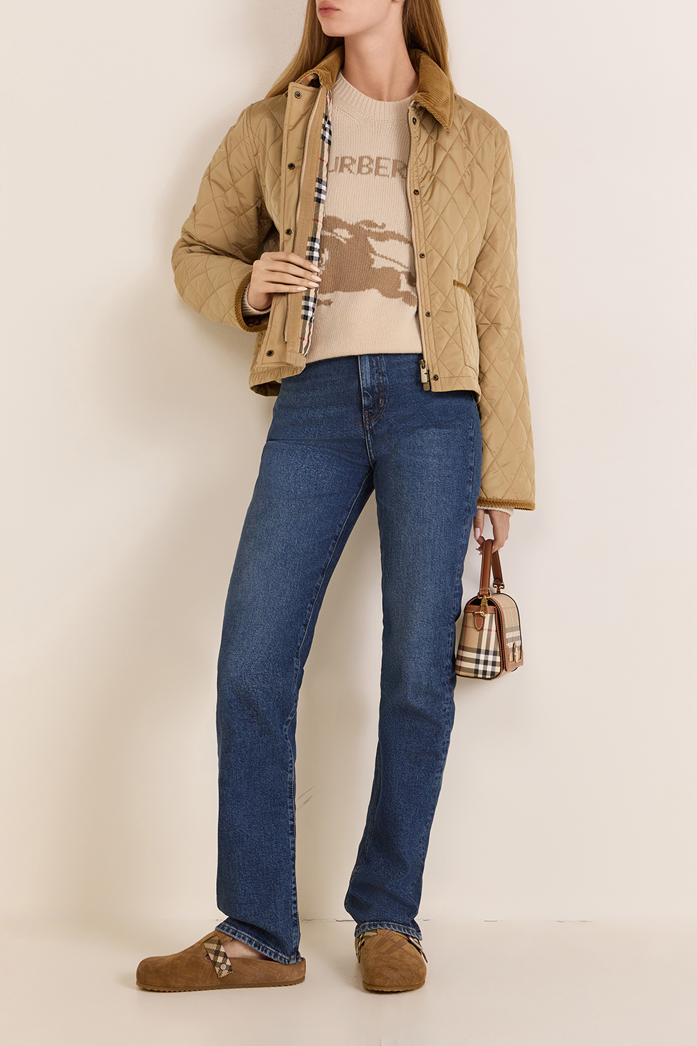 תמונת דוגמן קידמית של תיק קרוסבודי